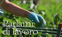 Parlami di lavoro con Meinrado Robbiani